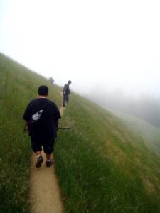 ‘Green Exercise’ Better Than Just Plain Exercise Image